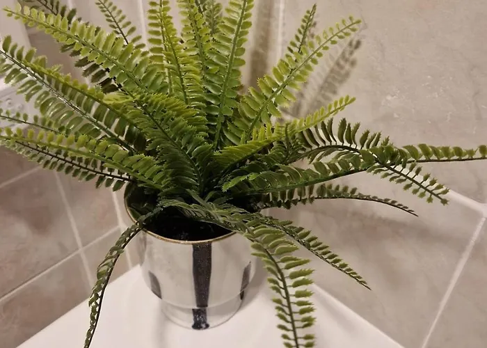 No1 Harbour View Killybegs